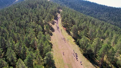 aerial view of a group of runners making their way through a wide forest trail