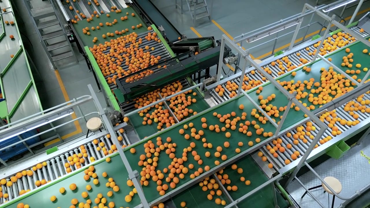 Drone view of oranges moving dynamically across green conveyor belts, highlighting efficient sorting in a modern packing facility.