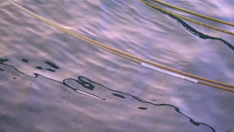 oil pollution from the boats industry in a port full of ships