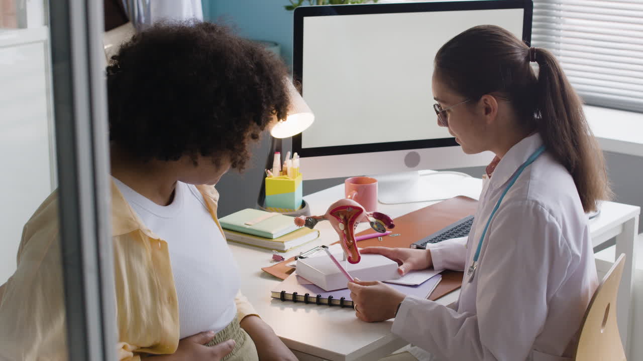 의사가 환자에게 자궁 모델을 설명하고 있습니다.