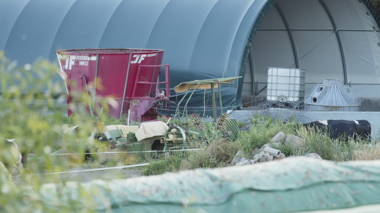 소 걷기는 농장을 던졌다 - 정적