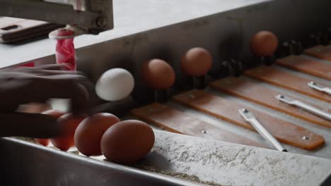 a machine gently stamps each egg with a best before date