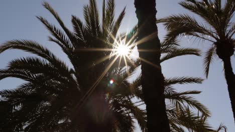 Bengala-Solar-Y-Estrella-Que-Viene-A-Través-De-Una-Palmera-En-Un-Destino-De-Vacaciones-De-Clima-Tropical-Zoom-De-La-Cámara