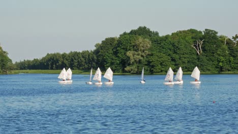 young tourists sailing on the optimist boats at the lake with green forest at the backdrop in kolbudy, north poland