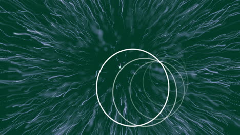 animación de círculos y senderos sobre fondo negro