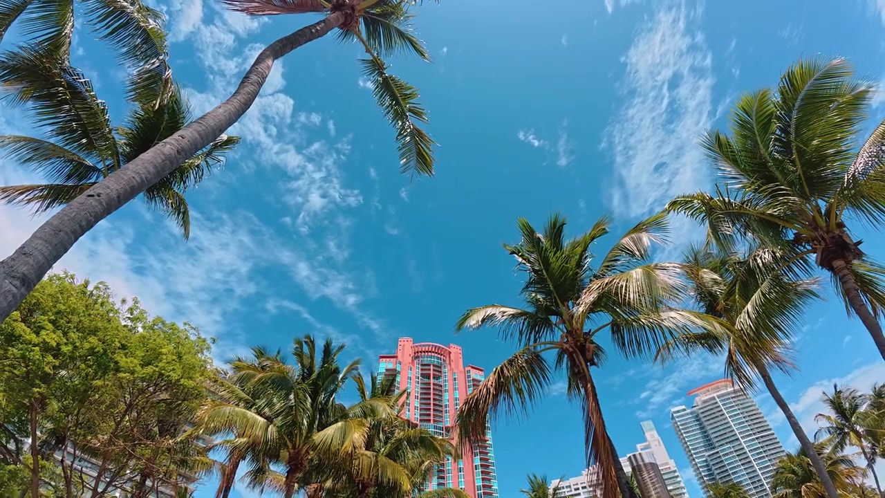 Miami, USA, 16 luglio 2026: Palme e grattacieli sotto un cielo blu a Miami. Prospettiva dal basso di fronde di palma, un alto grattacielo rosa e torri architettoniche contro il cielo.