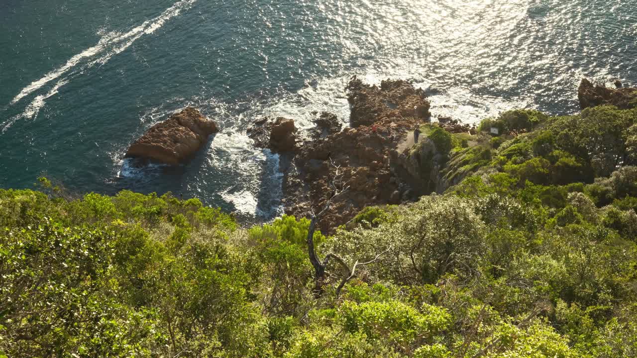 Static 4K shot looking down from a cliff, calm waves hitting rocks with birds flying around branches