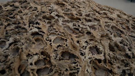 detailed texture of a porous rock formation