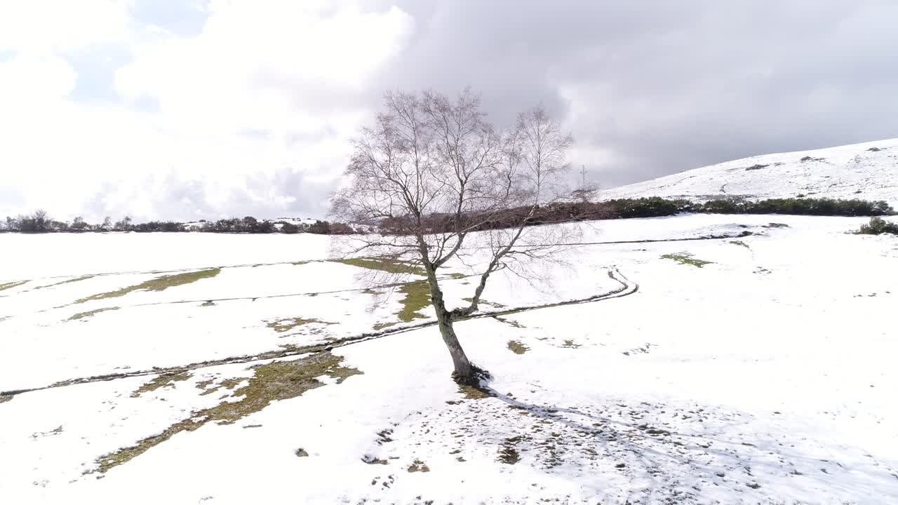 겨울 눈 산의 공중 전망