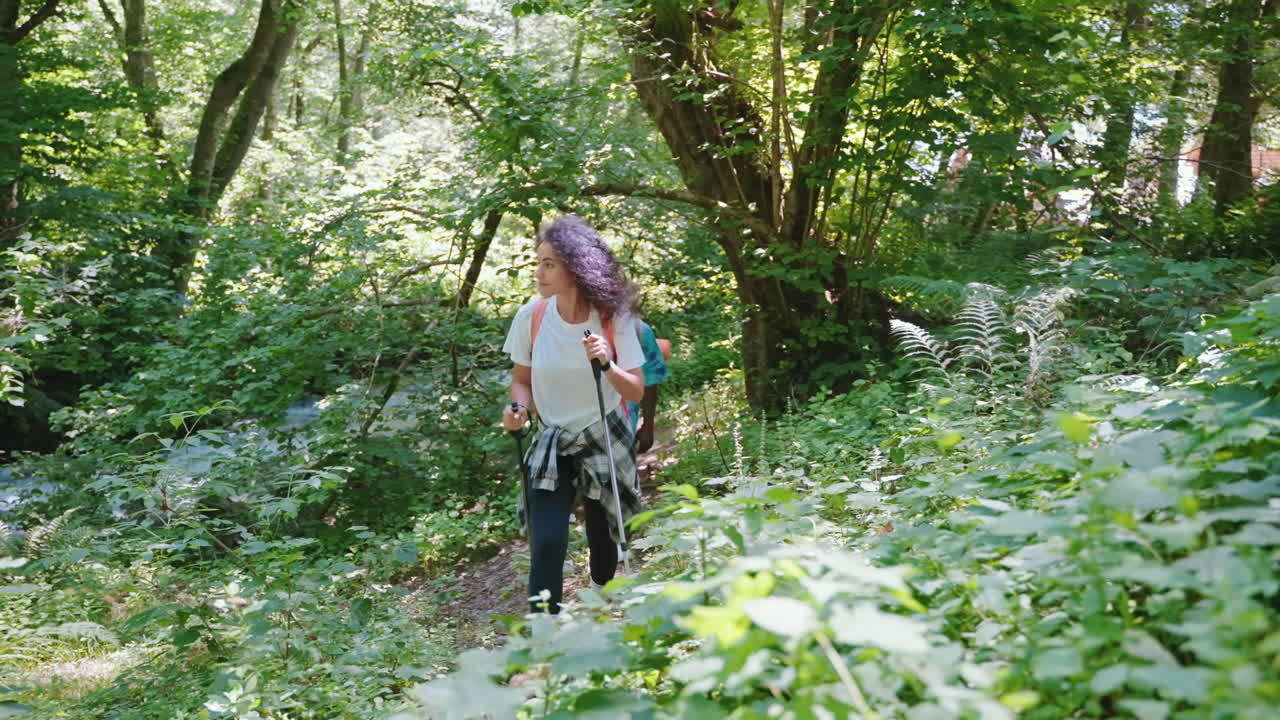 excursionistas en un bosque