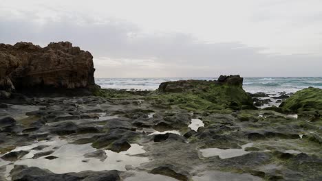 Soothing-cinematic-ocean-scene-with-enrolling-waves-in-background-and-water-puddles,-moss-rocks-and-pebbles-in-foreground-in-Porto-Santo---Portugal-50fps-Static-Shot