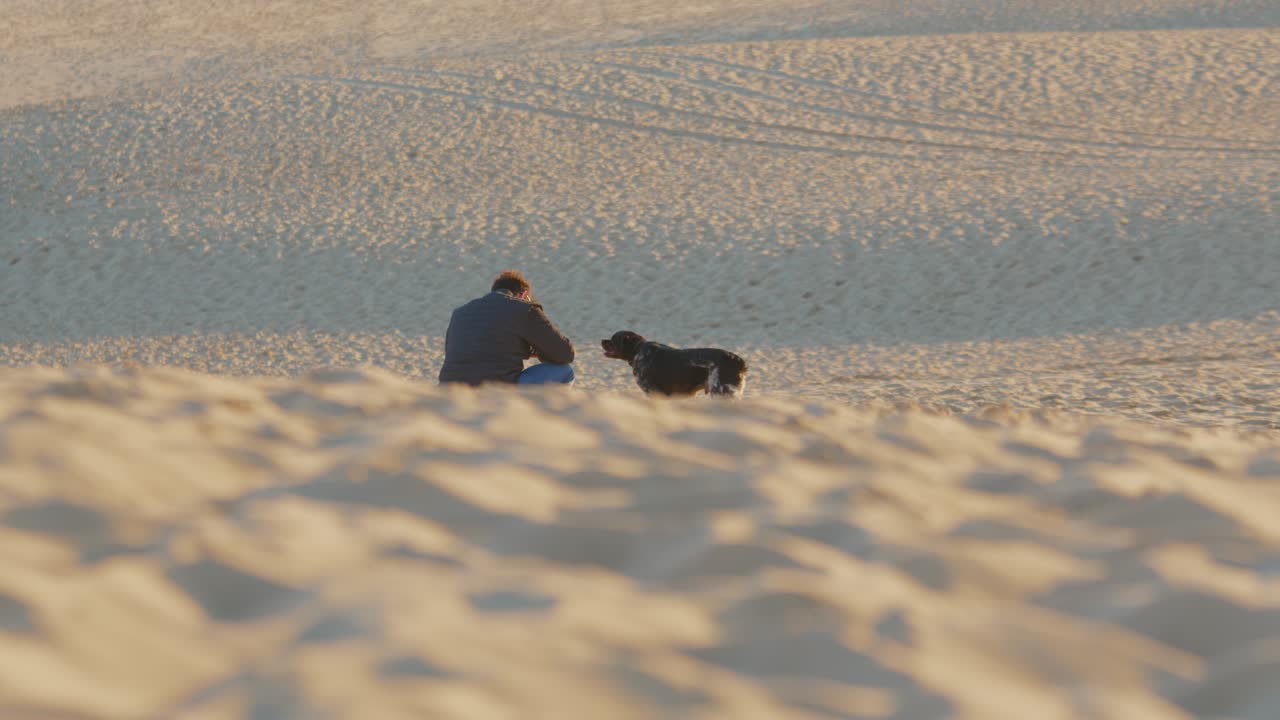 Man Is Sitting On The Sand Dune With His Dog In Arcachon Bay During Winter In France