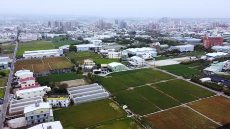 suburban landscape with houses and patchwork fields, overcast day, serene suburbia, aerial view