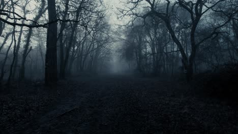 scary misty forest scene with bare trees in silhouette and a leafy path