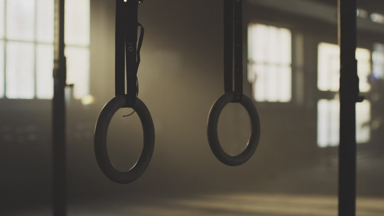 Gym Rings