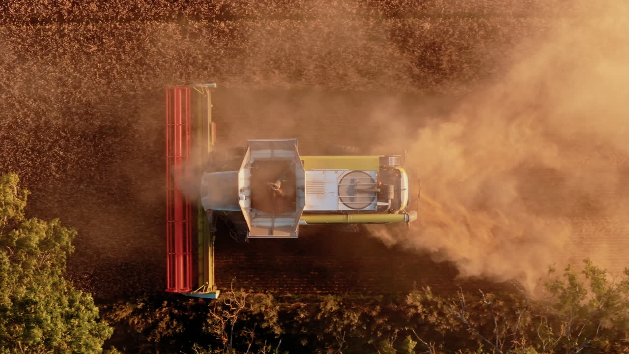Golden Sunset Harvest in Polish Countryside