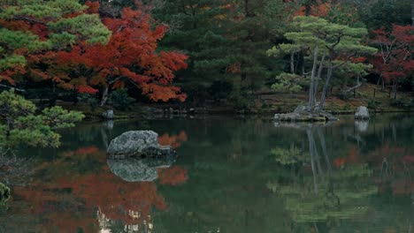 the iconic golden pavilion, kinkaku-ji, reflects beautifully on the tranquil lake surrounded by the rich, vibrant colors of autumn foliage in kyoto.