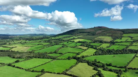 aerial passing over the green pastures of ireland on a sunny autumn morning