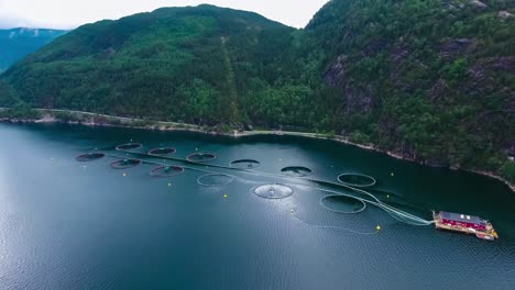 Aerial-footage-Farm-salmon-fishing-in-Norway