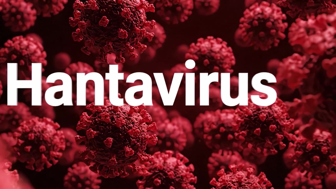 Esplorando l'Hantavirus: Un'Analisi Approfondita della sua Struttura, Trasmissione e Impatto sulla Salute Umana Attraverso Immagini Sorprendenti dell'Aspetto del Virus