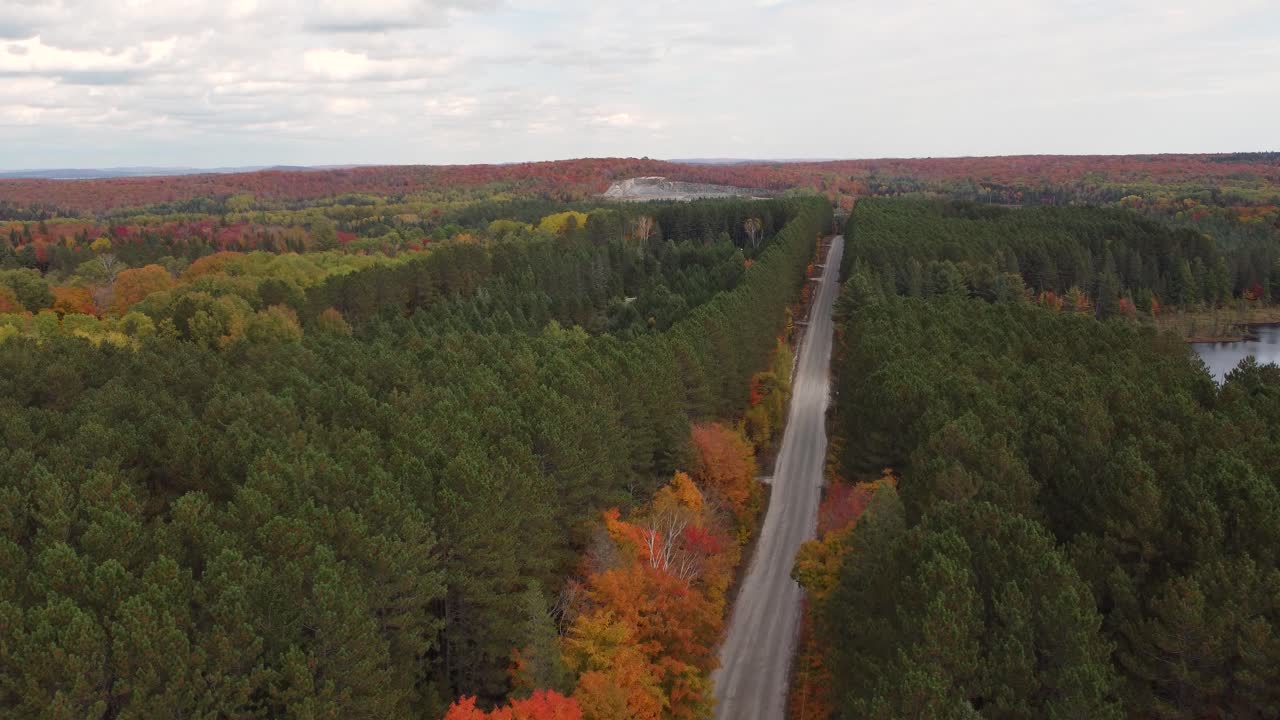 vista aérea de arriba hacia abajo de la carretera en el bosque a la luz del día