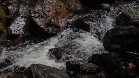 Streams-in-Natural-Bridge,-Springbrook-National-Park,-Gold-Coast-Hinterland,-Australia