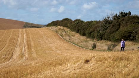 person walking dog in scenic countryside