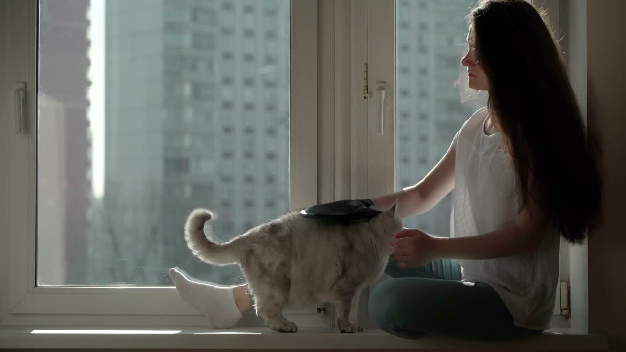 고양이의 머리카락이 알레르기 원천이라는 개념은 인간과 그의 반려동물의 관계에 대한 개념입니다.