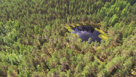 Atemberaubende-Gleitende-Drohnenaufnahme-Eines-Sehr-Schönen-Kleinen-Waldteiches-In-Der-Finnischen-Wildnis