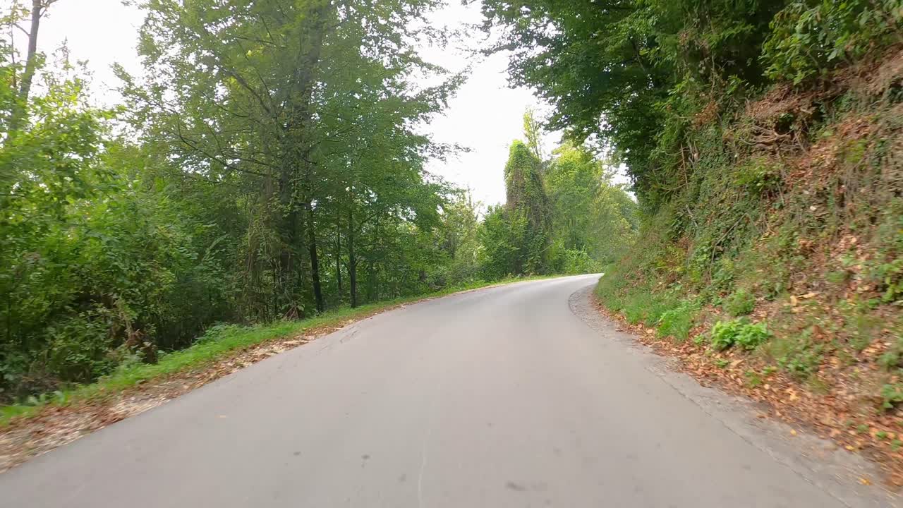 Viaggio in auto attraverso una foresta.