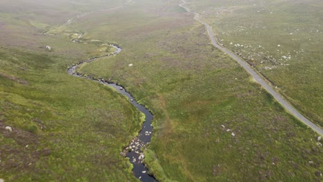 Luftaufnahme-Eines-Schmalen-Baches-Und-Einer-Asphaltstraße-Zwischen-üppigen-Feldern-In-Den-Wicklow-Mountains,-Irland