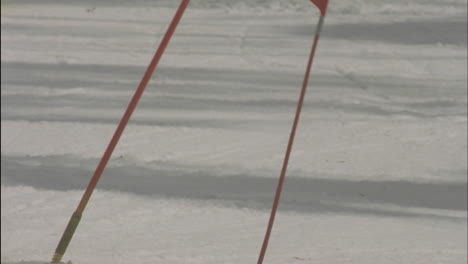 alpine skier running a downhill course 17