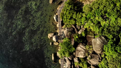 top view drone shot over a pathway mad eof wood, betweeen the ocean and rocks