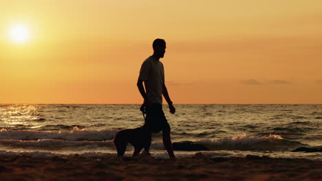 man and dog walking on beach at sunset