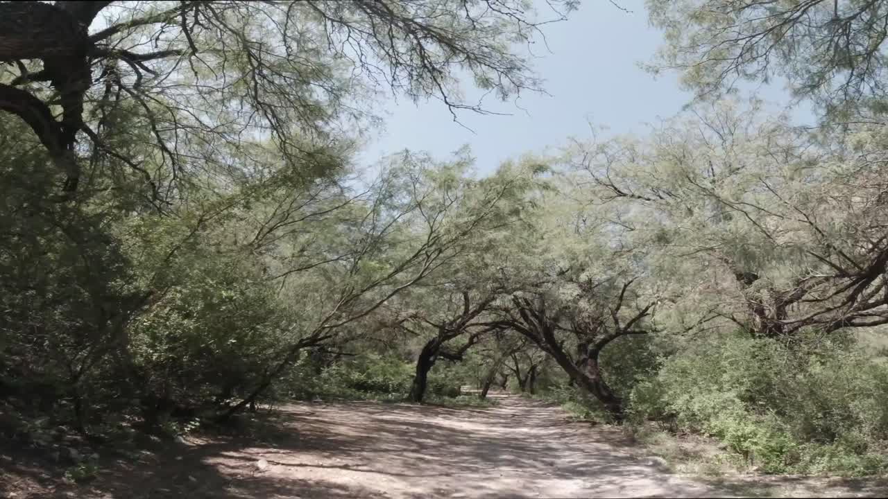 cañon de fernandez 주립 공원은 멕시코 북부 두랑고 주의 자연 보호 구역입니다.