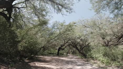 el parque estatal cañón de fernandez es un área natural protegida en el norteño estado mexicano de durango