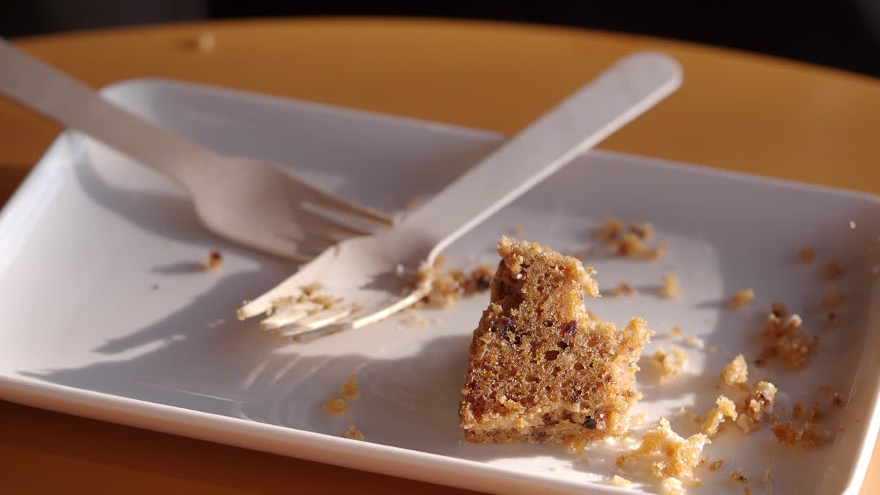Crumbs of cake on a plate with fork