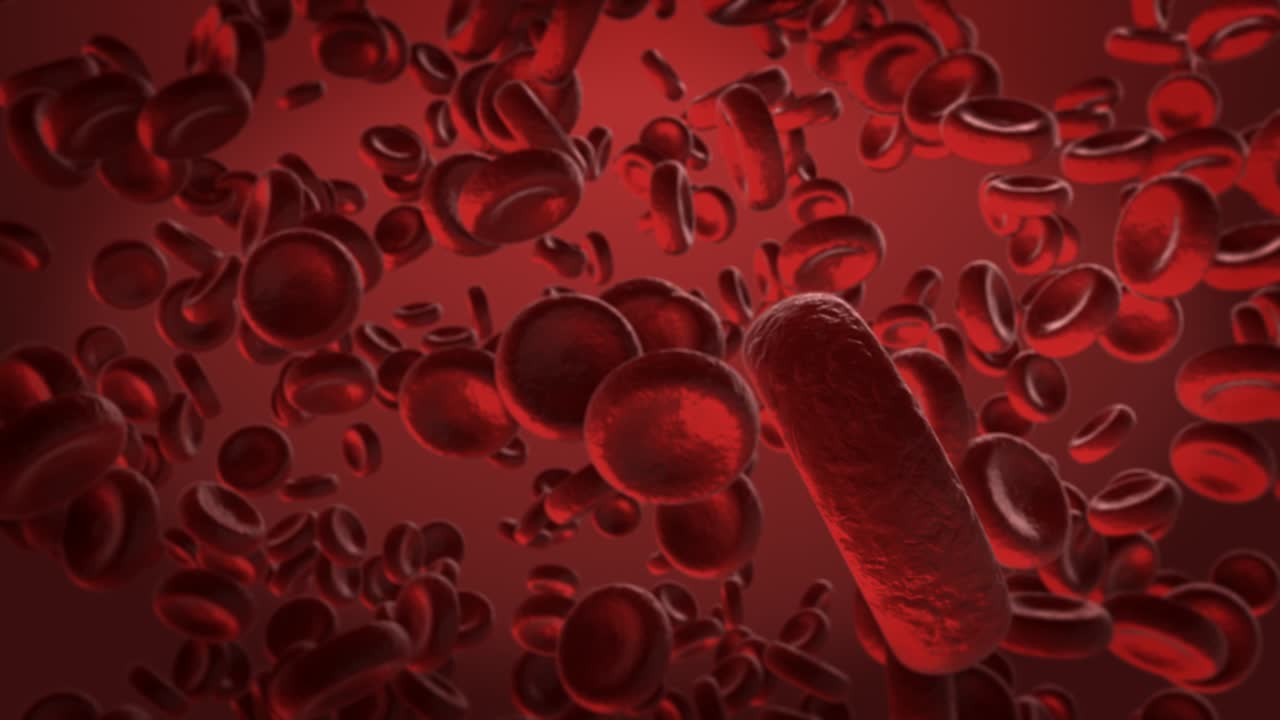 glóbulos rojos flotando en la vena