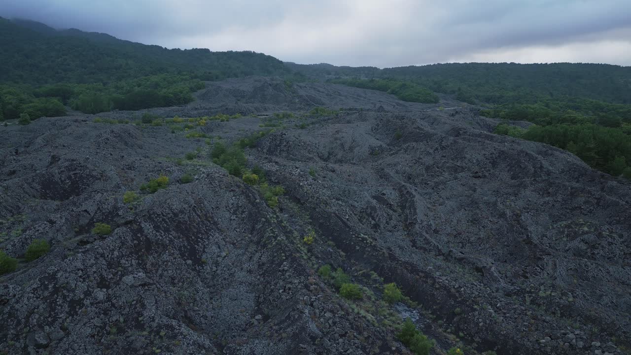 biodiversidad paisaje volcánico en el entorno del volcán etna