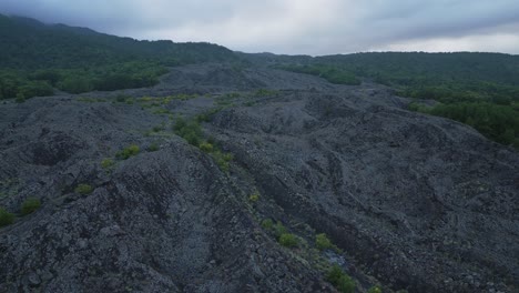 biodiversity volcanic landscape on etna volcano environment