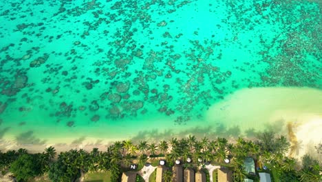 Filmisches-Zeitlupen-Drohnenvideo-Von-Oben-Nach-Unten-Von-Luxuriösen-Kunstvillen-An-Der-Küste-Von-Rarotonga