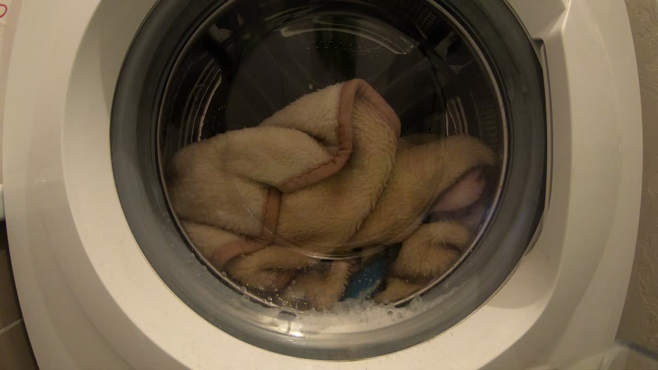 세탁기에서 옷이 회전하는 세탁 과정, 타임 스