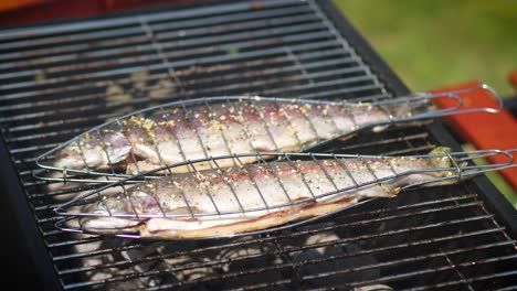 tasty whole fishes placed on barbecue grill