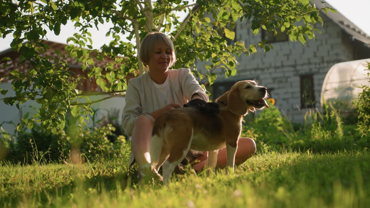 amante de mascotas usando guante de aseo para frotar la espalda del perro cariñosamente hasta su cola, sonriendo cálidamente mientras el perro disfruta del aseo, con pelaje volando alrededor, fondo borroso con vegetación y edificios