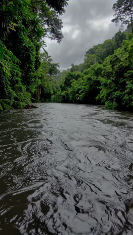 river flowing through a lush green forest on a cloudy day