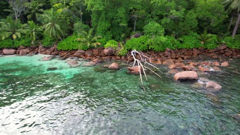 drone rotate near fallen tree, granite stones and trees, asphalt road near the shore, baie lazare, mahe,seychelles 30fps