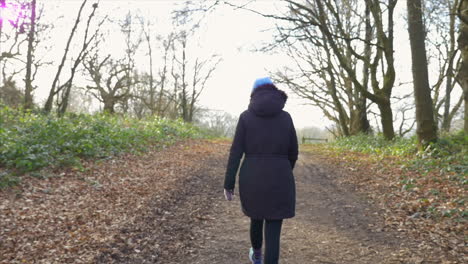 a woman walking through the woods reaching near the top of a footpath. slow motion gimbal shot.