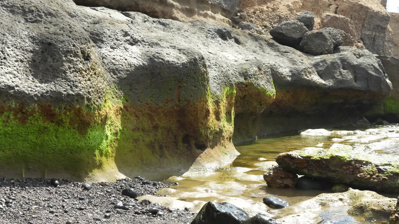 Moss growing on rock affected by erosion in Tenerife island