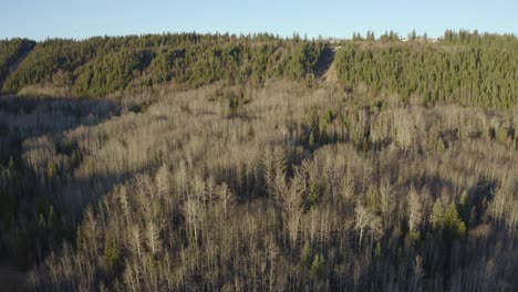 Una-Toma-Aérea-Descendente-En-Movimiento-De-Un-Dron-Del-Sendero-Pidherny-Y-El-área-Del-Bosque-De-Las-Estribaciones-Durante-Los-Meses-De-Verano-En-Prince-George,-Al-Norte-De-BC