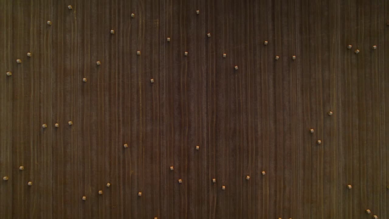 drone aéreo superior del campo después de la cosecha